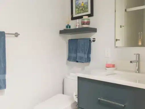 Small Bathroom, Aging-in-Place Design, Storage Solutions – $59,177